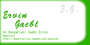 ervin gaebl business card